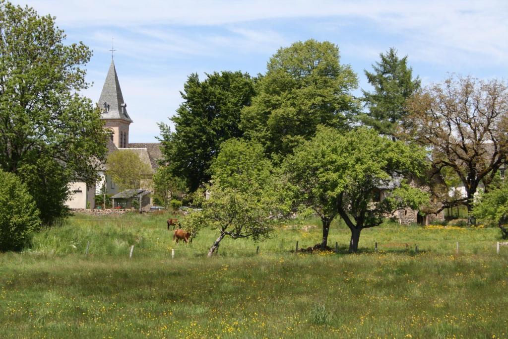 Auberge De Saint Julien Aux Bois Exterior foto
